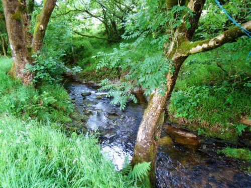 6.-Flowing-through-Westermill-Farm-campsite-25
