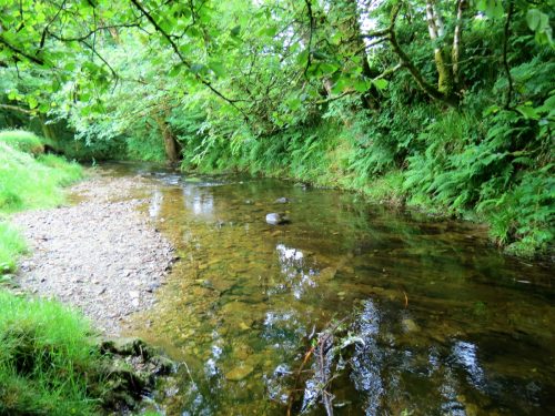 6.-Flowing-through-Westermill-Farm-campsite-26