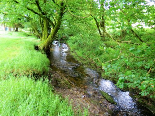 6.-Flowing-through-Westermill-Farm-campsite-30