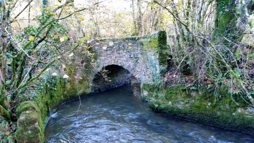6.-Harriford-Bridge-13