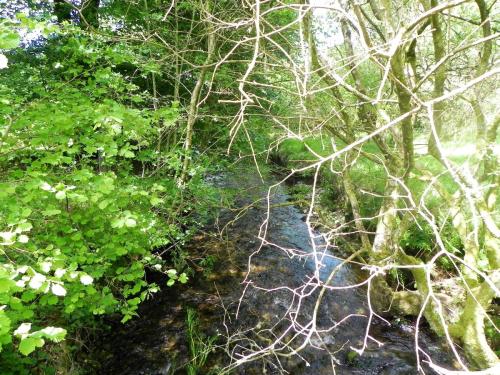 6.-Looking-downstream-from-Furzehill-Bridge