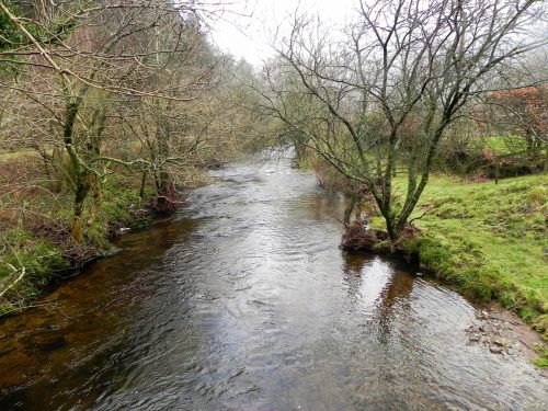 6.-Looking-downstream-from-Glebe-House-Bridge-2