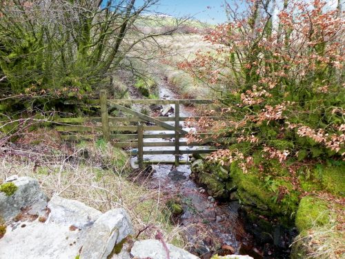6.-Looking-downstream-from-Kinsford-Bridge-2