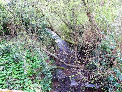 6.-Looking-downstream-from-Luccombe-Mill-Bridge-2