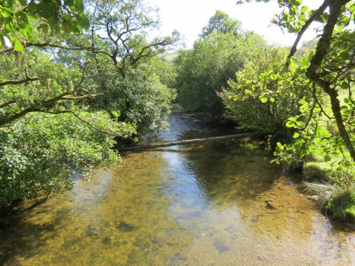 6.-Looking-downstream-from-ROW-Bridge-1982