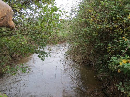 6.-Looking-downstream-from-ROW-bridge-No.290