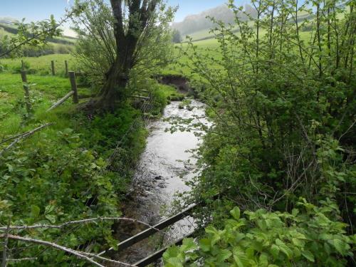 6.-Looking-downstream-from-Westcott-Farm-ford-footbridge