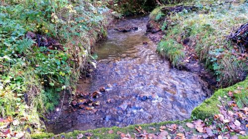 6.-Looking-upstream-from-Beer-Lane-Ford-2