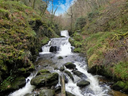 6.-Looking-upstream-from-Hoaroak-Water-Watersmeet-Bridge-2