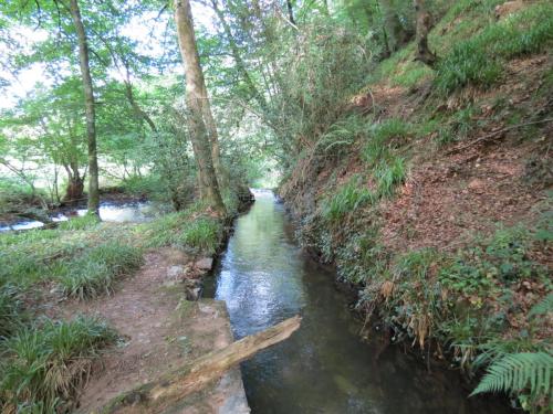 6.-Stawley-Mill-leat-downstream-from-weir