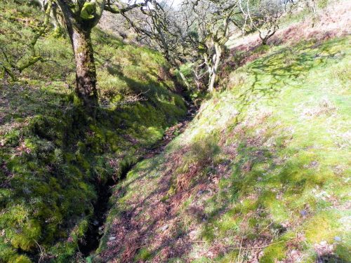 6.-The-early-stream-2 (1)