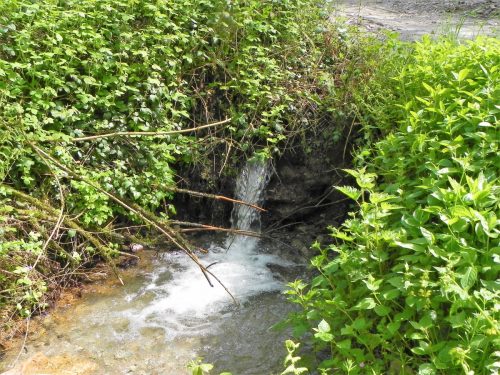 6.-Trib-stream-joins-2