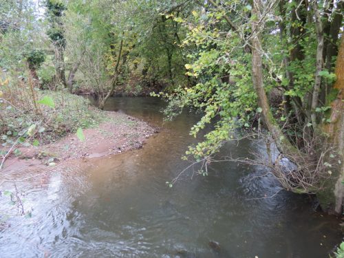 6.-Upstream-from-Cothay-Manor-4