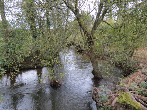 6.-Upstream-from-Cothay-Manor-5