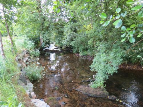 6.-Upstream-from-Court-Cottage-Bridge-2