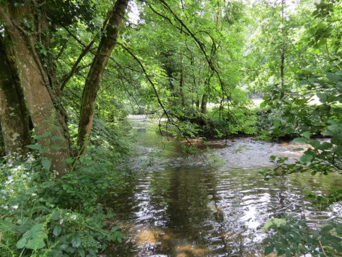 6.-Upstream-from-Milton-Bridge-14