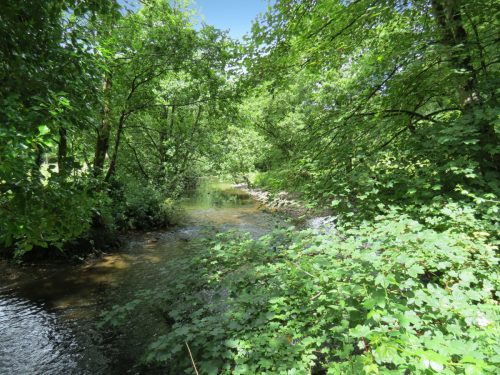 6.-Upstream-from-Milton-Bridge-15