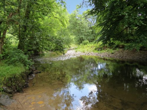 6.-Upstream-from-Milton-Bridge-3