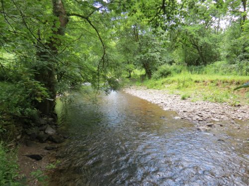6.-Upstream-from-Milton-Bridge-4