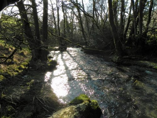 6.-Upstream-from-ROW-Bridge-2119-2