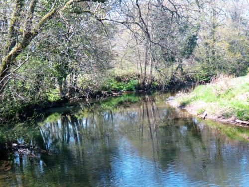 6..-Downstream-from-Brushford-Bridge-5