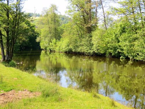 6..-Downstream-from-Brushford-Bridge-6