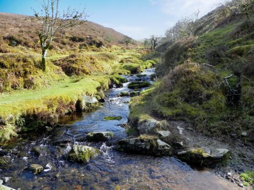 60.-Confluence-with-Embercombe-Water-2