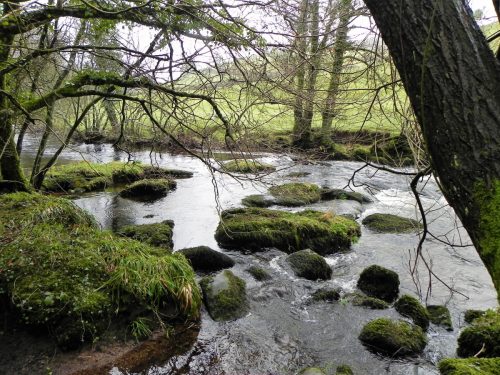 60.-Downstream-from-Cloud-Farm-2
