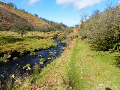 60.-Flowing-below-Furzehill-Common-2
