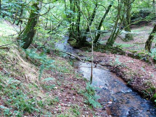 60.-Flowing-below-Stolford-Wood-2