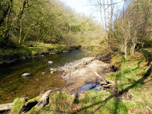 60.-Flowing-past-Mill-Ham-Wood-2