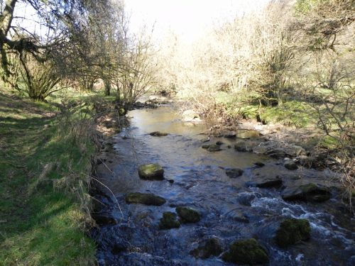 60.-Flowing-past-Shircombe-Brake