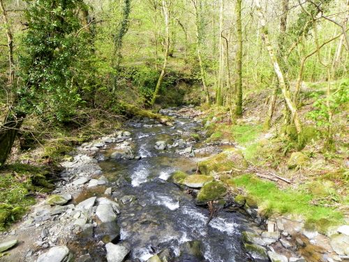 60.-Looking-downstream-from-Heddon-Valley-ROW-bridge-B-2