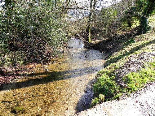 60.-Looking-downstream-from-Withycombe-Bridge-2