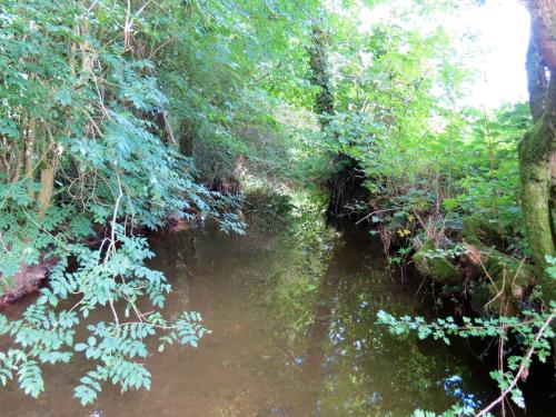 60.-Looking-upstream-from-ROW-bridge-5431-2