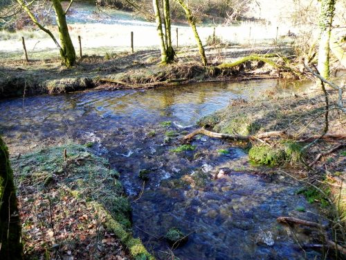 60.-Quarme-Combe-tributary-stream-confluence-with-River-Quarme-2