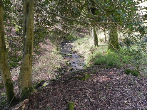 60.-Upstream-from-join-with-Shillett-Combe
