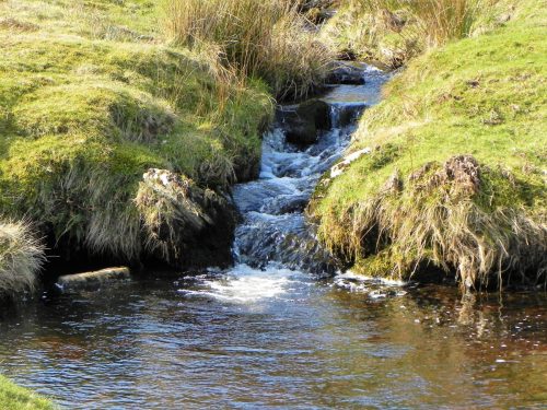 61.-Confluence-with-Embercombe-Water-2