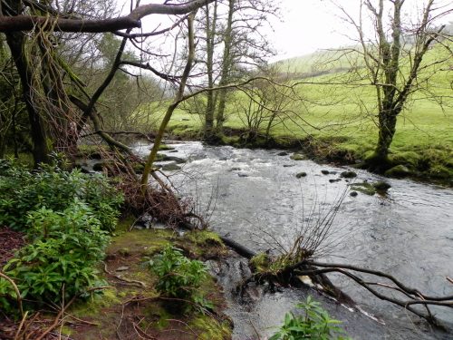 61.-Downstream-from-Cloud-Farm-2