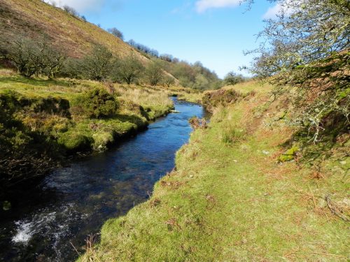 61.-Flowing-below-Furzehill-Common-2