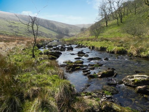 61.-Flowing-past-Cornham-Brake-2