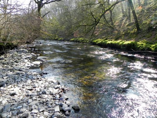 61.-Flowing-past-Mill-Ham-Wood-2