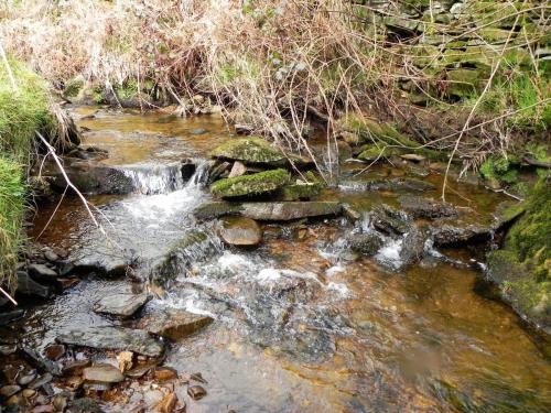 61.-Small-weir-upstream-from-Willingford-Farm-2