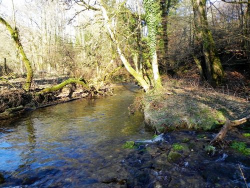61.-Upstream-from-Quarme-Combe-stream-confluence-2