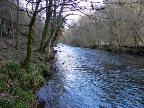 61.-Upstream-from-Tarr-Steps-2