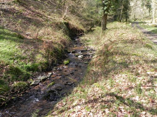 61.-Upstream-from-join-with-Shillett-Combe