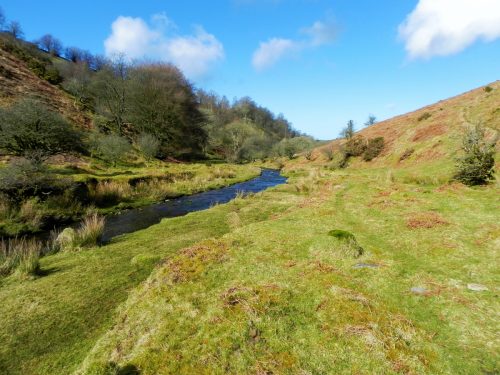 62.-Flowing-below-Furzehill-Common-2