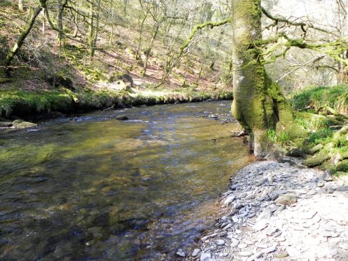 62.-Flowing-past-Mill-Ham-Wood-2