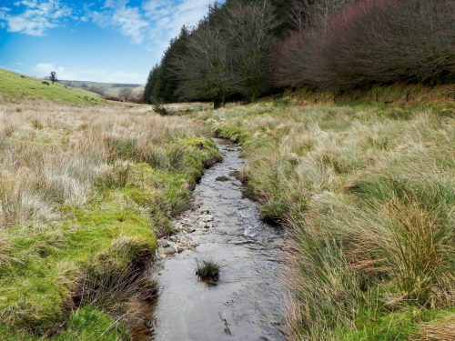 62.-Looking-downstream-from-Kinsford-Water-Footbridge-2