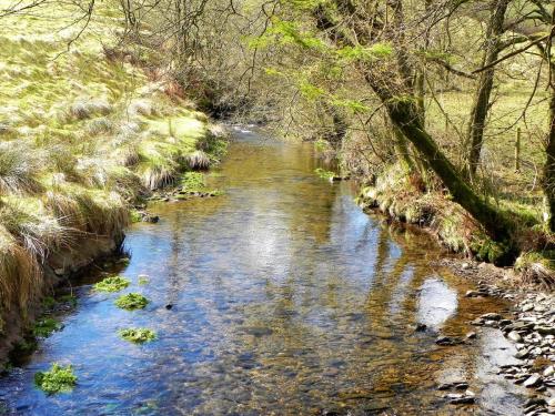 62.-Looking-downstream-from-Sherdon-Bridge-2